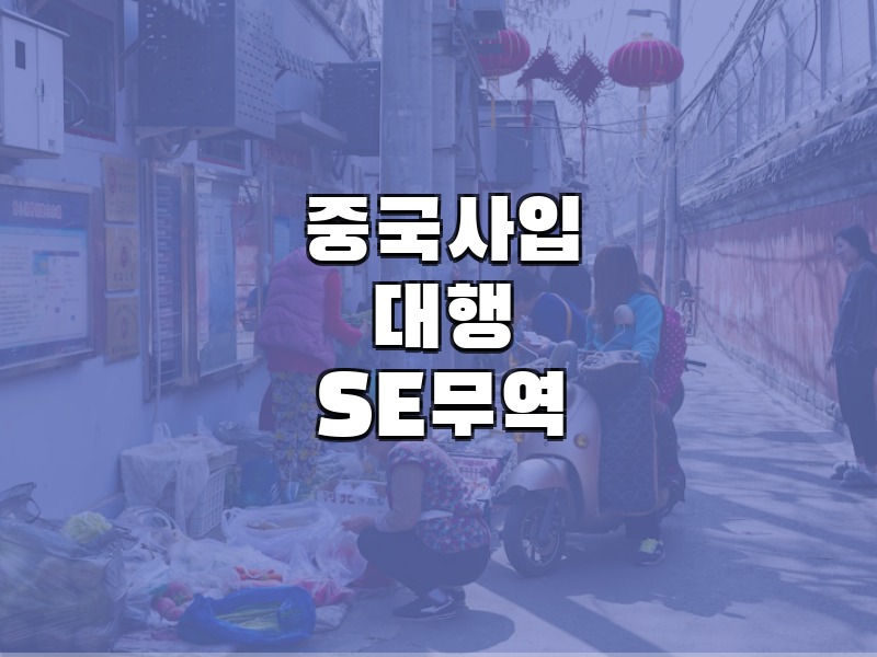 중국사입대행 1688구매대행 중국무역대행 SE무역 - 중국 도매 사입 전문 대행 서비스